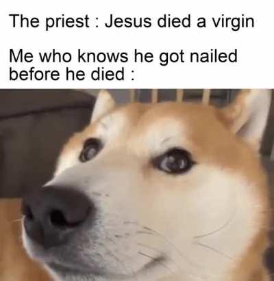 Can someone tell me the original gif or video of this shiba?