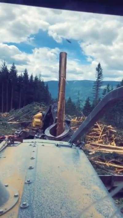 Don't even think about it...