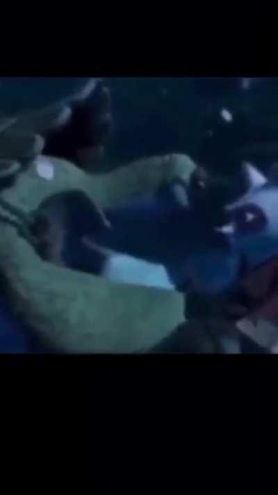 Well that took a turn