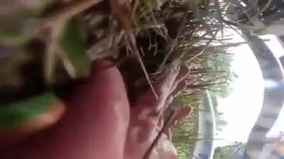 Biker tries to escape cops in the rain..... Gets knocked off bike & run over!