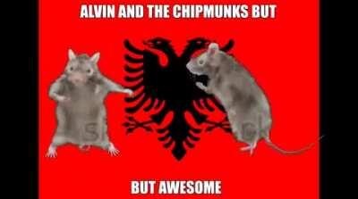 LEAST CULTURED RAT ILLYRIAN RAT🇦🇱🇦🇱