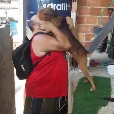 The most wholesome good boy greet