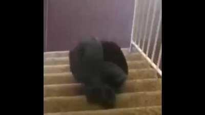 penis and butt condemned to torturous activities