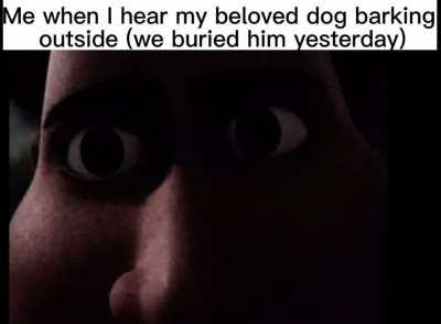 We buried him yesterday