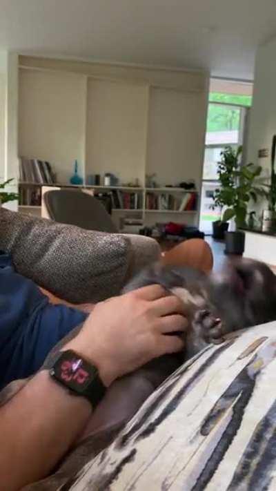 Olive is never not derping 😂