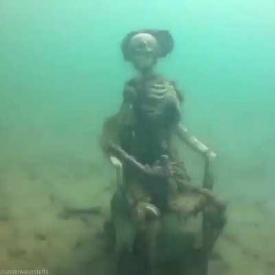 IT’S THE MEME TEMPLATE