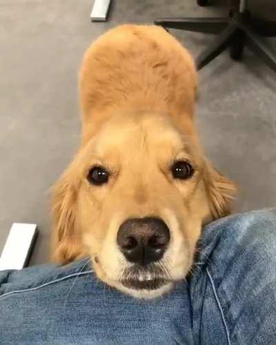 There's so much genuine expectation in those eyes...