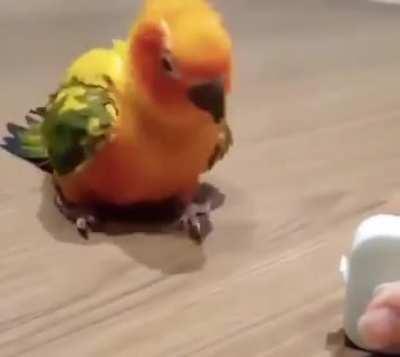 Yo bro wtf just happened???