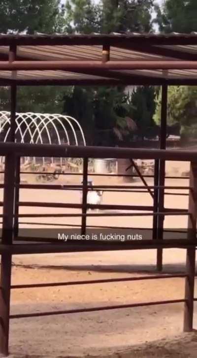 Someone get her an F1 contract.