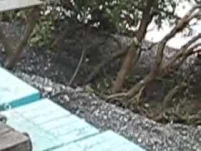 Embankment fails underneath crane (New Zealand, 2010)