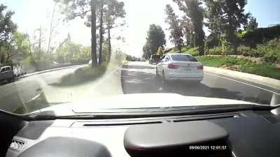 i've done my fair share of aggressive driving but i will never understand malice against other drivers.