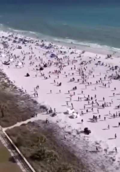Drug dog immediately clears massive beach crowd.