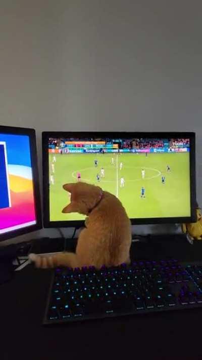 I wonder who he's rooting for😂