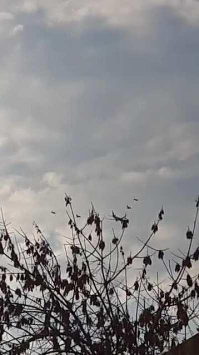 alguien me puede explicar esto?