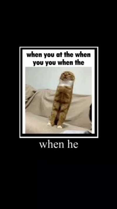 The question is not what the question is when !