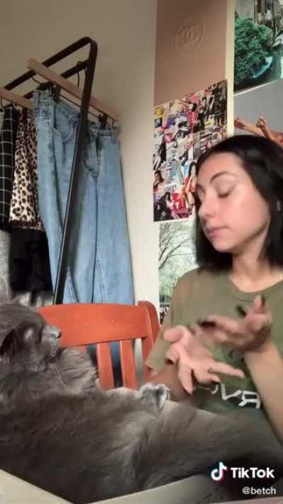 Woman fires cat! He didn’t take it very well!