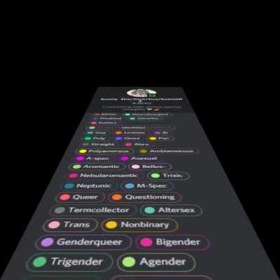 bunny the 3840th, guardian of lgbtq and slayer of straights