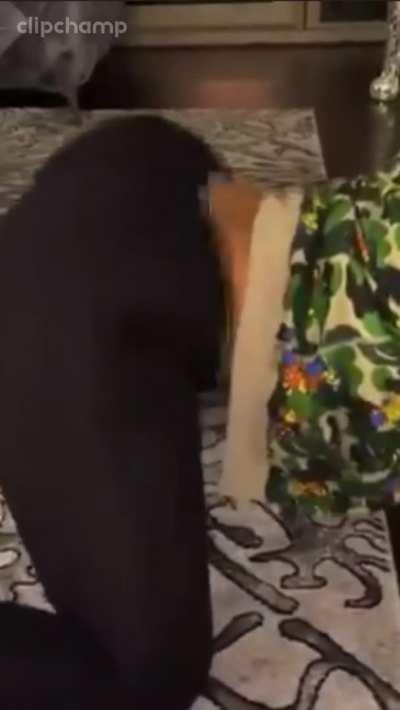 Some Skilled Baddies!!!