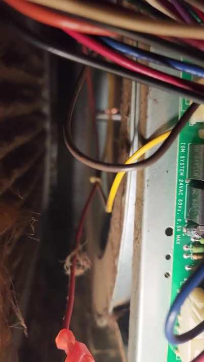 I don't think it's supposed to do that