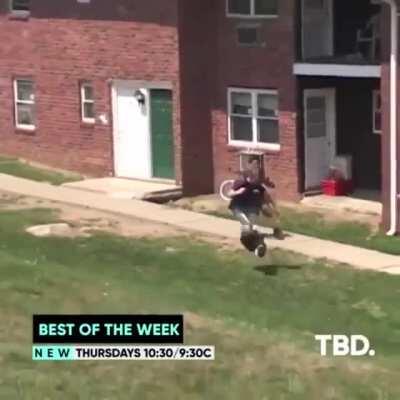 Each of them is dumber than the other.