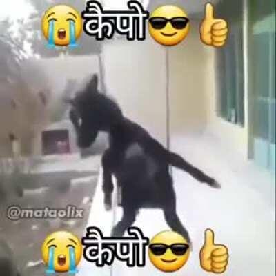 М̼̋͟н̒ͣ͆͏͎͓̀е̨̡̫̪̥̏ͥ͒͆̀͡ ̴ͤͬͩ̈́̕͏̴̸̝̻̹̦н̵̶̢̨̖͔̙͈͗̈́̚͘͟͡ͅр̶ͩͭ̄̌̾̐͝͞҉͘҉͏̬̯̞͈̞̺̝̖а̸͔̦͎̯̰ͤ͋͒̔̂̀̿̌ͪ͠ͅв̛̣̪̼̘̤̺͇̘̗ͤͬ̈́̄͗́̀͋ͩи̸̷̧̨̛̛̬̠͔̤̮̻̼͎͂̑ͫͣ̉͘̕̕͟͜͡͝͝ͅт̨ͯ͆͆̆ͩ̂ͯ͆̆̉̕͏̛͞͏̢̨̢͈̣̱̟͇͢с̠̭͓̟̱͍̱̯̯ͦ͟͝я̴̶̵̷̡̰̰͎͉̫͕̘̞̓͊̑̀̆̉ͣͣ͑ͮͫ̕͘͟͢͠͞͠ ̂҉̡̟̗̘͇̫̲̜̰͍̙̀͘̕͝͝ф̃̋̾ͩ̆͂͒ͬͮ͏̷̴̀̕͜͠͝҉̨̻͍