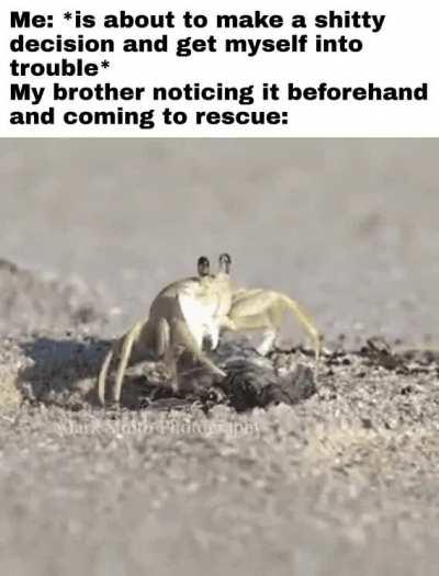 Tutle🐢ㅤㅤㅤㅤㅤㅤㅤㅤ