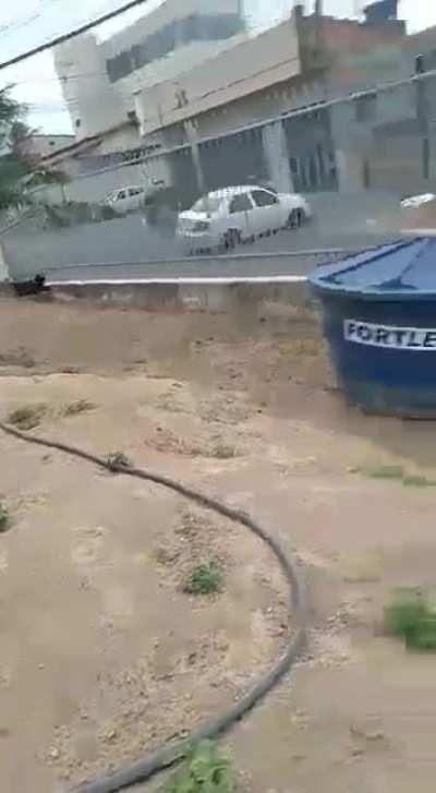 Just filming the dog