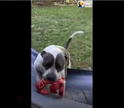 Best Foster Daddy Ever