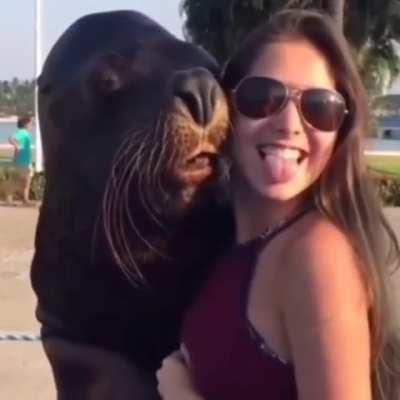 I made another seal edit