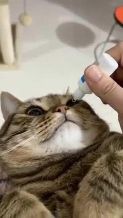 MAn injecTS bLInDiNG SERum INto EyES Of deFENCeLEsS ANimAL