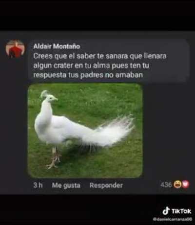 Referencias de las God