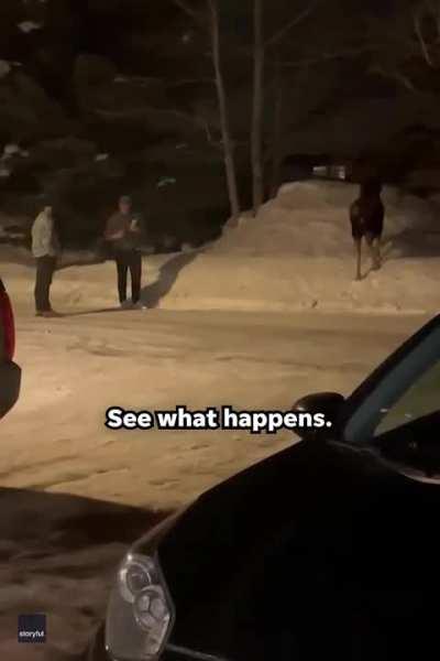 F*cking around to find out 