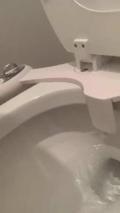 Installed a bidet….life will never be the same now.