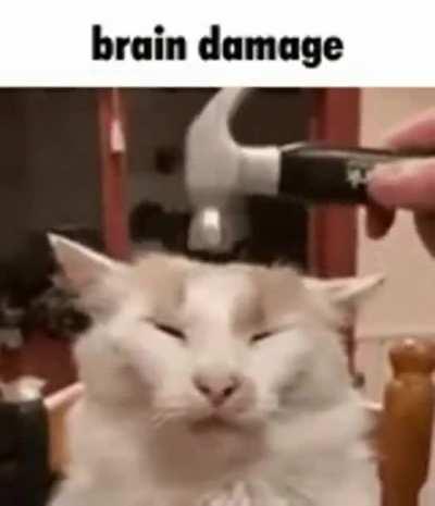 Dante whenever he comes across someone suffering in hell who wasn't from Florence.