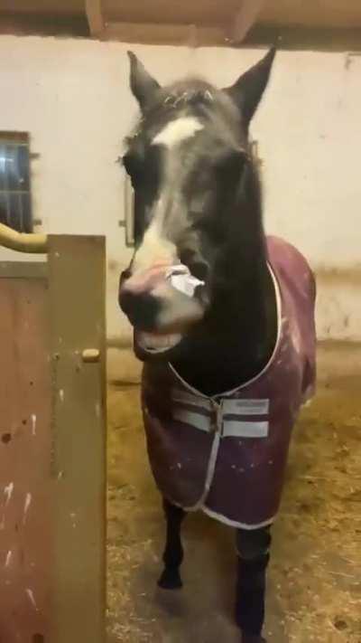 Dumb fucker can’t do shit bout it