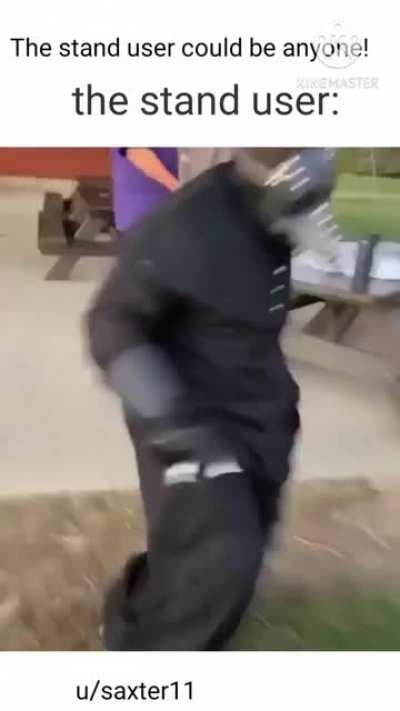 Stand name: the plaugebearer. Stand user: the doctor.