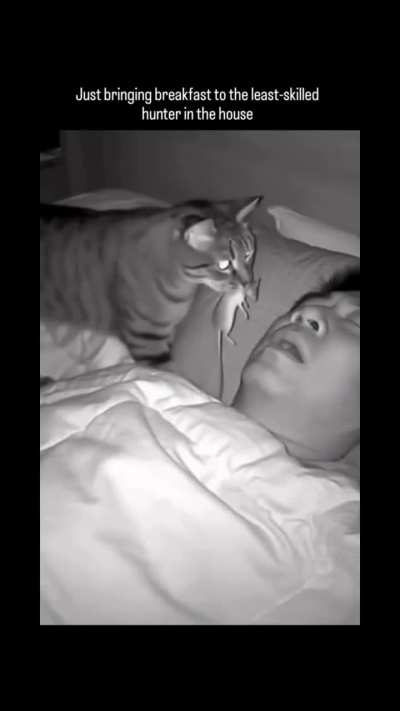 When your cat thinks ur incapable of taking care of yourself.