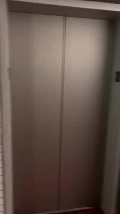 Sucked his cock until the elevator came 😈 [gif]