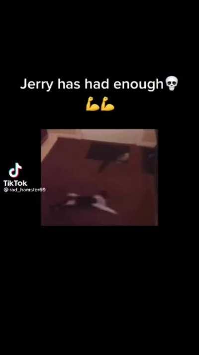 Bro is build different 😤🥵🥶😶‍🌫️🥵🥶