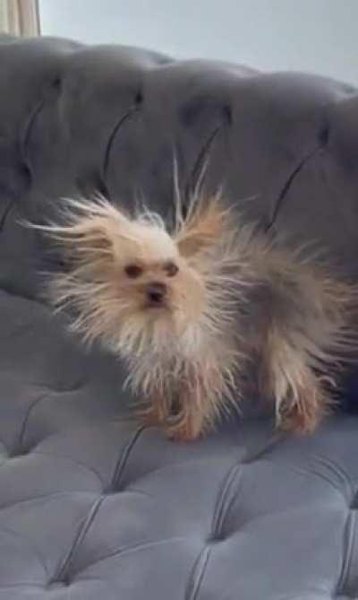 She’s a little spark of…