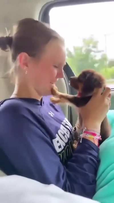 I can bite your nose too