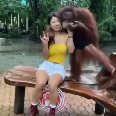 Happy monkey