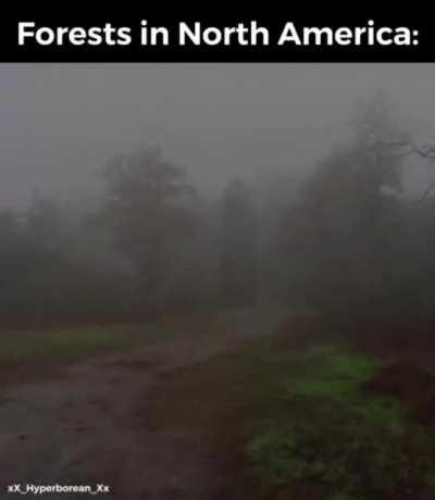 Now don’t go wandering in them woods now in Appalachia