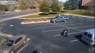 Pitbull Attacks a Little Girl in a Parking Lot