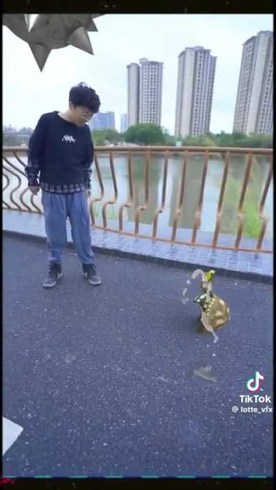 dont you bully the little turt💢