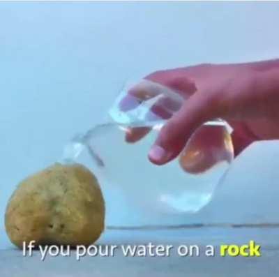 The internet teaches you wonders!