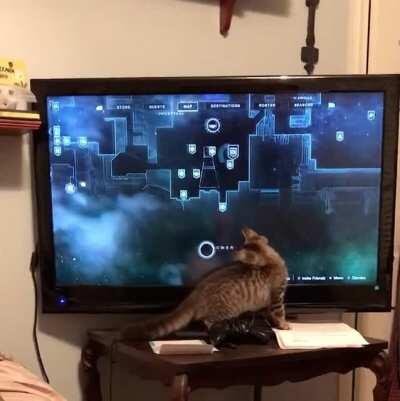 Currently my favorite thing to do in the game