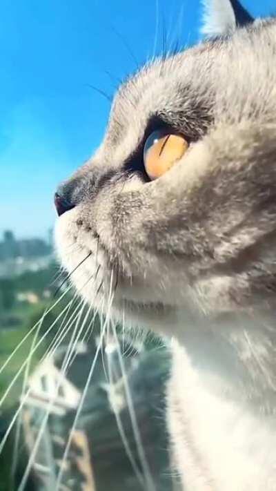 Everything will be okay