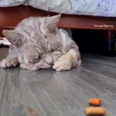 Early'21 OGs still picking up shares.