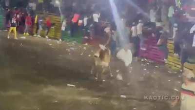 Bulls have an uncanny ability to flip people onto their necks.